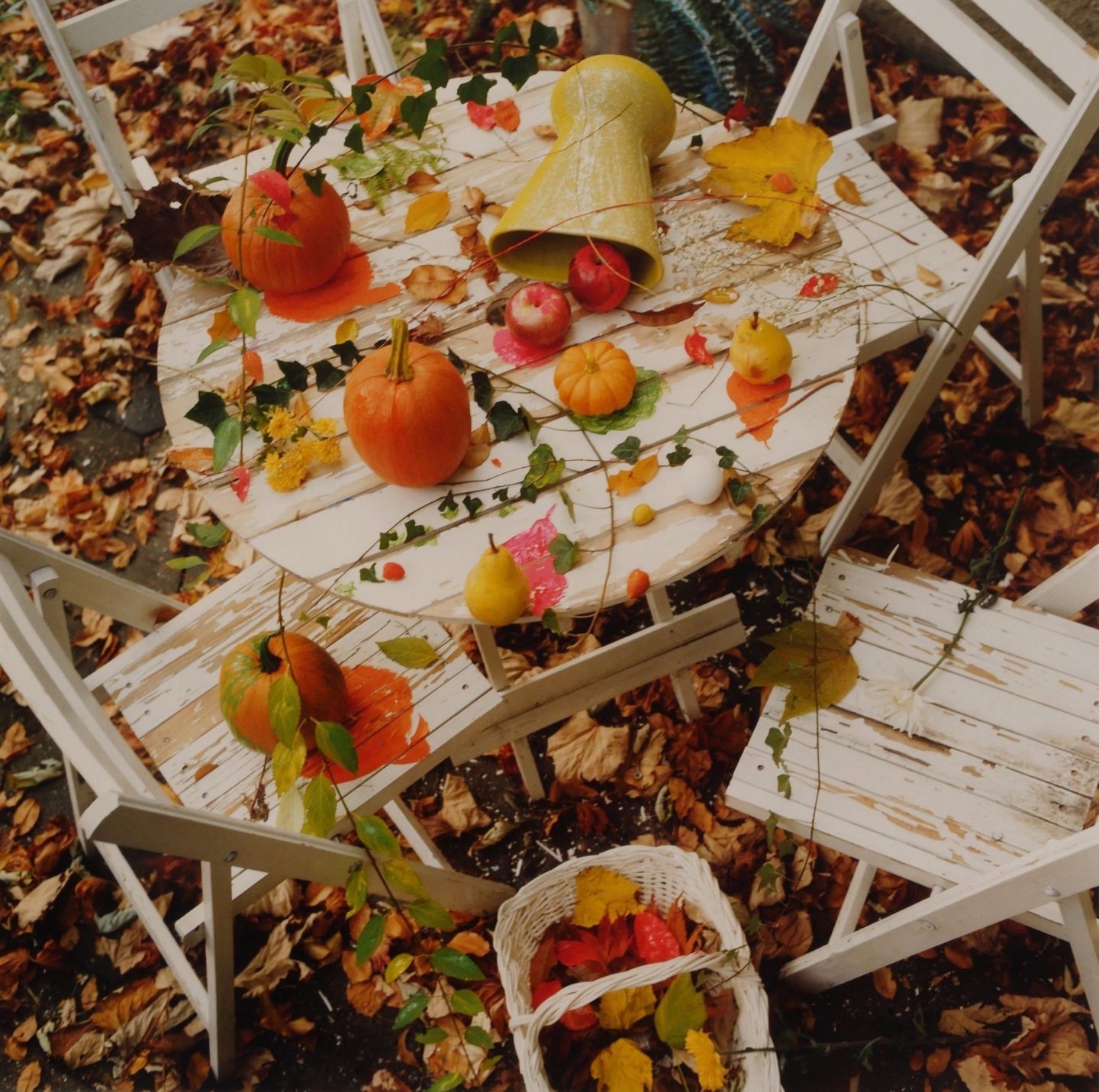 Schiavo Fall Still Life