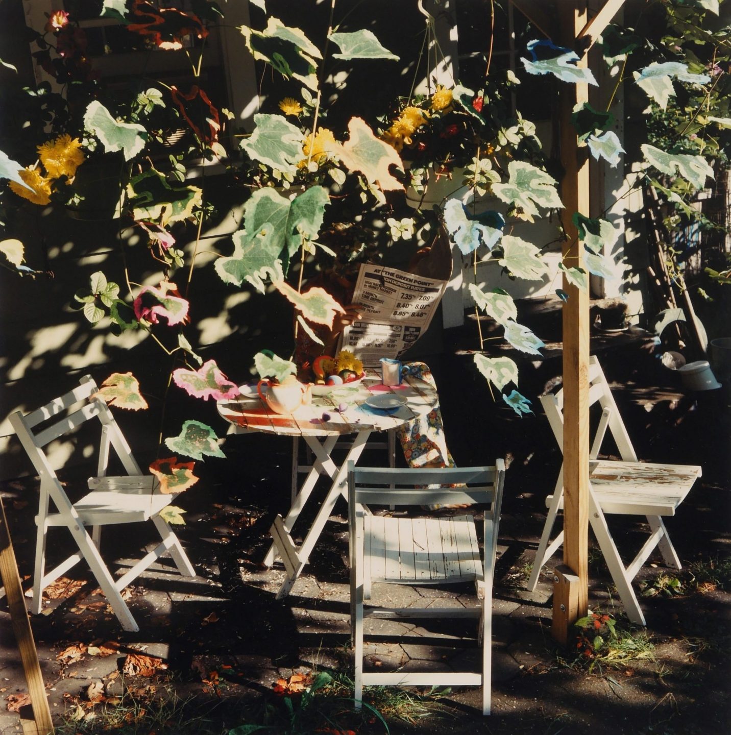 Schiavo Morning Paper