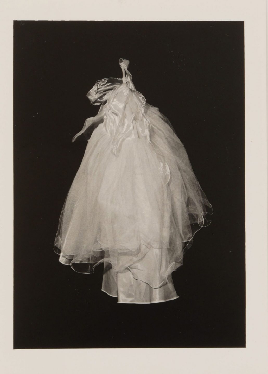 Schiavo Taffita Flip